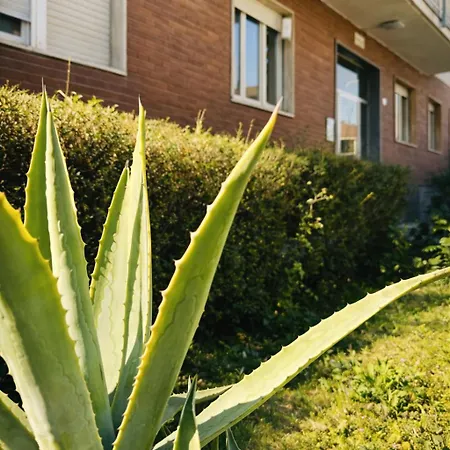 Oasi Domese شقة دومودوسولا